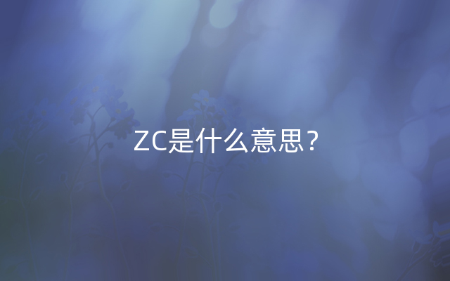 ZC是什么意思？