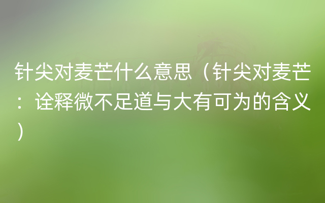 针尖对麦芒什么意思（针尖对麦芒：诠释微不足道与大有可为的含义）