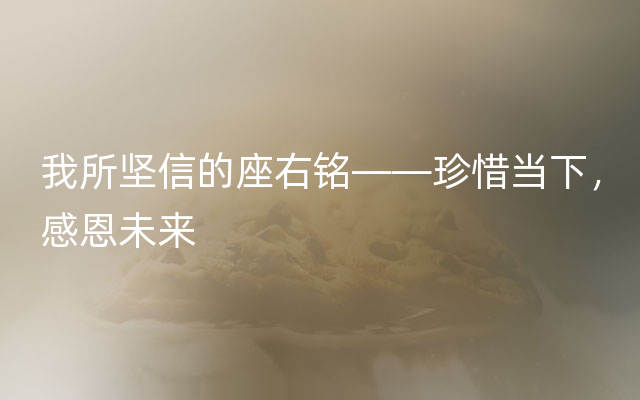我所坚信的座右铭——珍惜当下，感恩未来