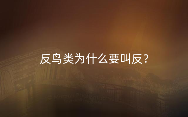 反鸟类为什么要叫反？