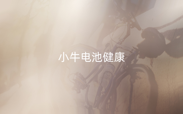 小牛电池健康