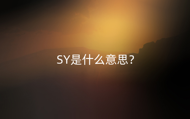SY是什么意思？