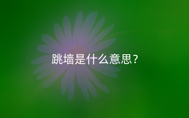 跳墙是什么意思？