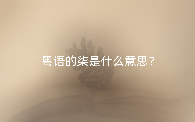 粤语的柒是什么意思？