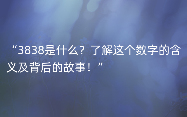 “3838是什么？了解这个数字的含义及背后的故事！”