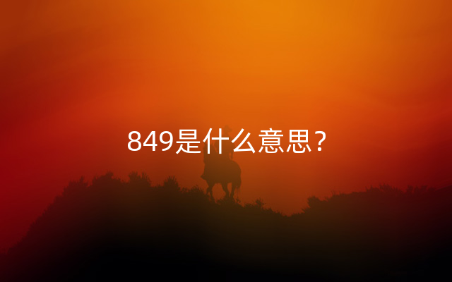 849是什么意思？