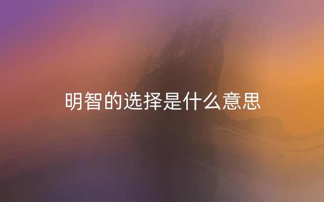 明智的选择是什么意思