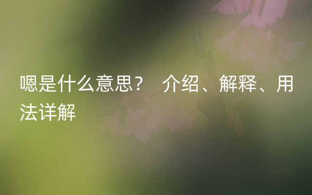 嗯是什么意思？  介绍、解释、用法详解