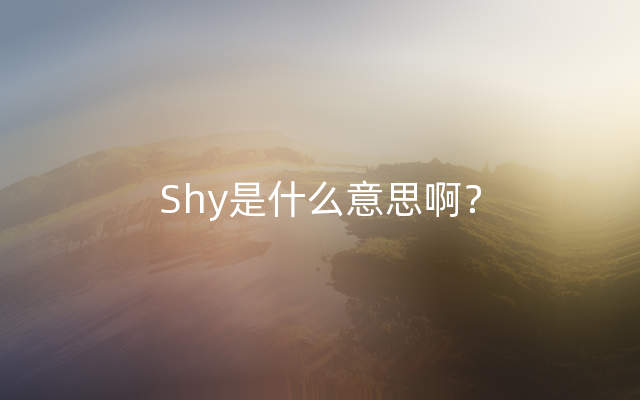Shy是什么意思啊？