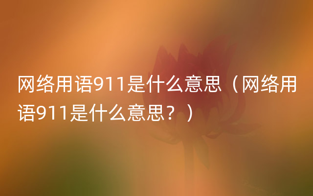 网络用语911是什么意思（网络用语911是什么意思？）