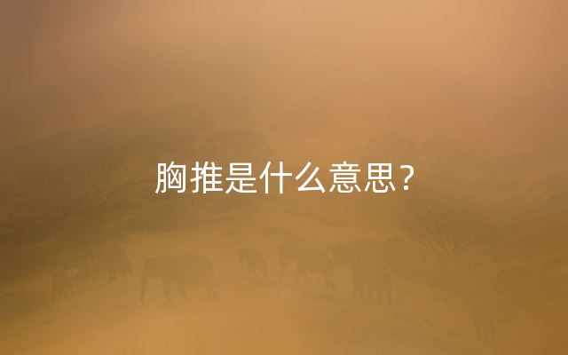 胸推是什么意思？