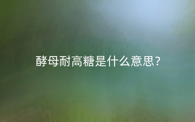 酵母耐高糖是什么意思？