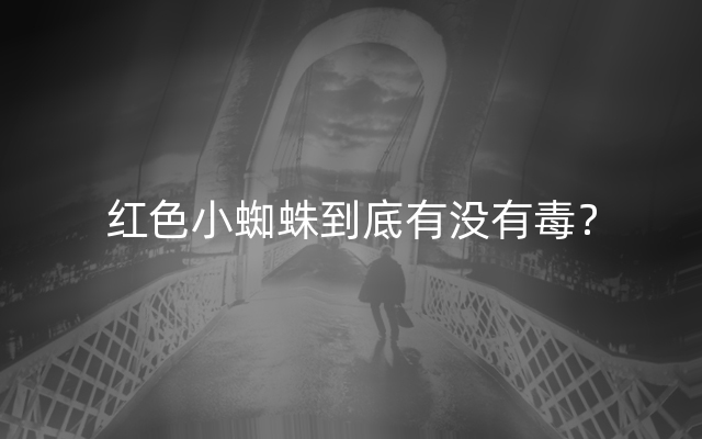 红色小蜘蛛到底有没有毒？