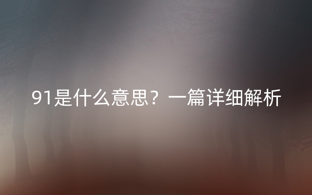 91是什么意思？一篇详细解析