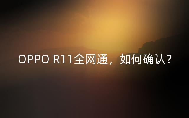 OPPO R11全网通，如何确认？