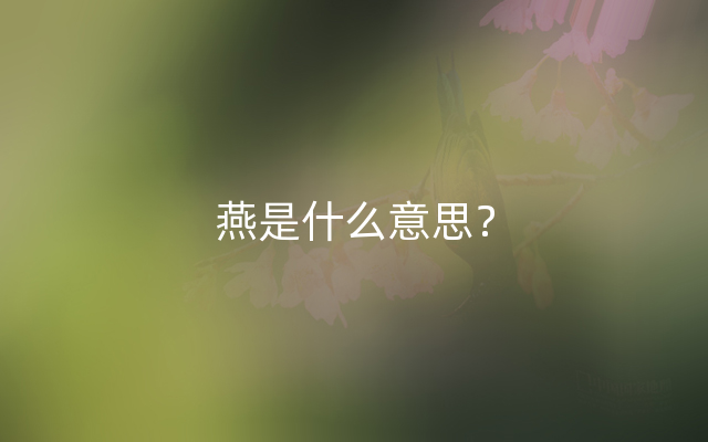 燕是什么意思？