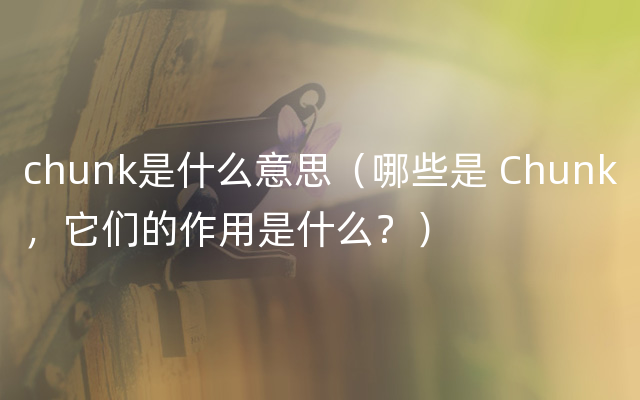 chunk是什么意思（哪些是 Chunk，它们的作用是什么？）