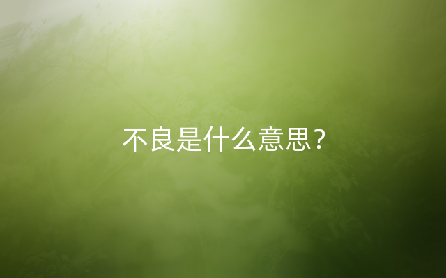 不良是什么意思？