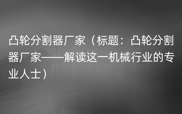 凸轮分割器厂家（标题：凸轮分割器厂家——解读这一机械行业的专业人士）