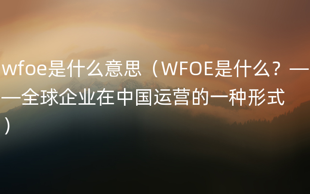 wfoe是什么意思（WFOE是什么？——全球企业在中国运营的一种形式）