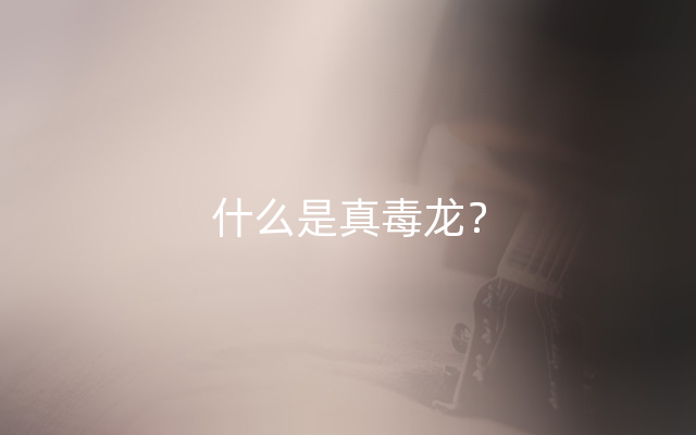 什么是真毒龙？