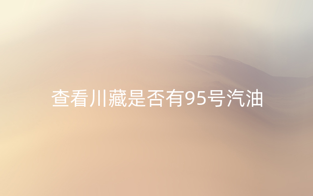 查看川藏是否有95号汽油