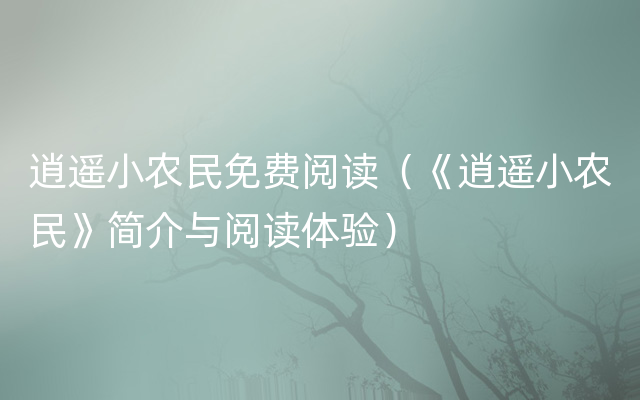 逍遥小农民免费阅读（《逍遥小农民》简介与阅读体验）