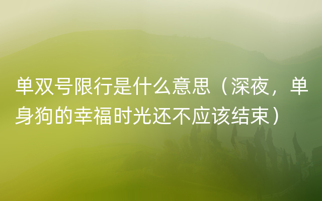 单双号限行是什么意思（深夜，单身狗的幸福时光还不应该结束）