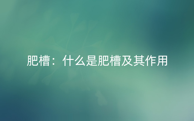 肥槽：什么是肥槽及其作用