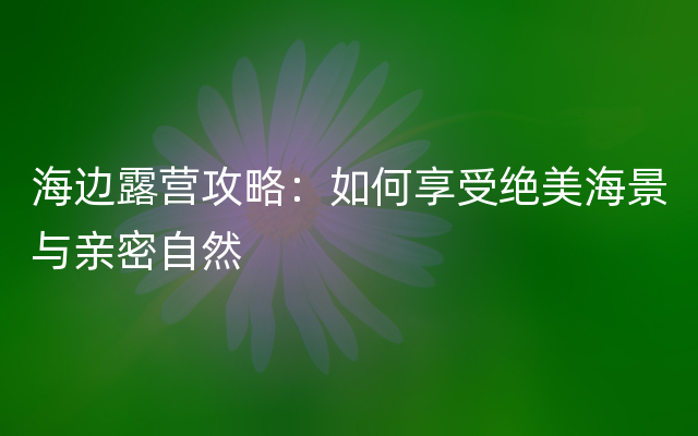海边露营攻略：如何享受绝美海景与亲密自然