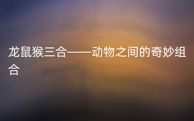 龙鼠猴三合——动物之间的奇妙组合