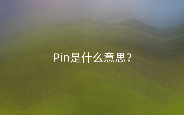 Pin是什么意思？