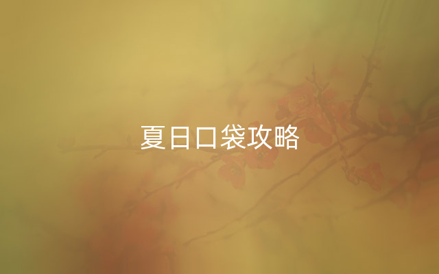 夏日口袋攻略