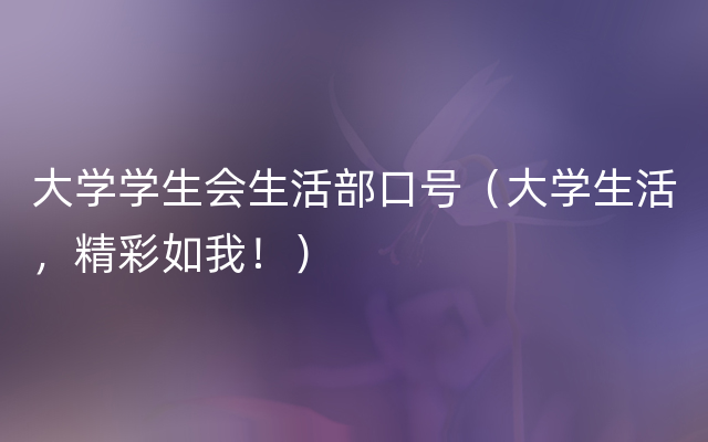 大学学生会生活部口号（大学生活，精彩如我！）