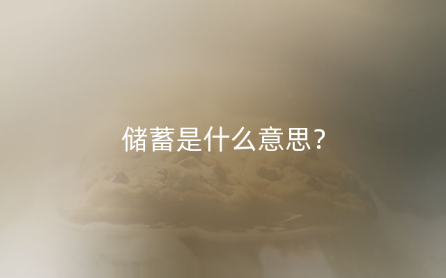 储蓄是什么意思？
