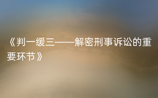 《判一缓三——解密刑事诉讼的重要环节》