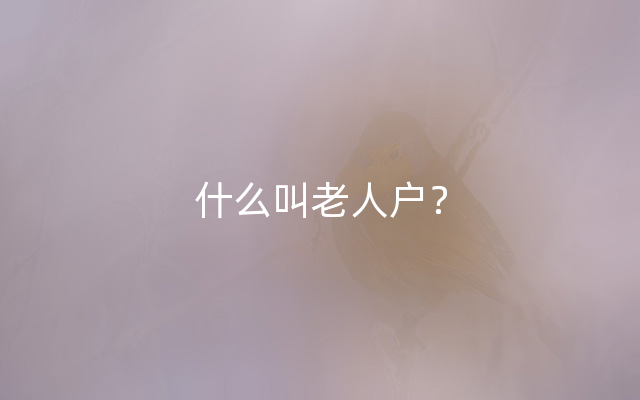 什么叫老人户？