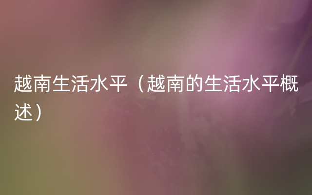 越南生活水平（越南的生活水平概述）