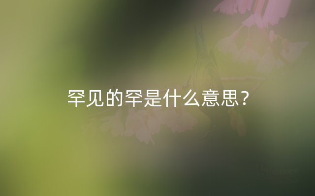罕见的罕是什么意思？