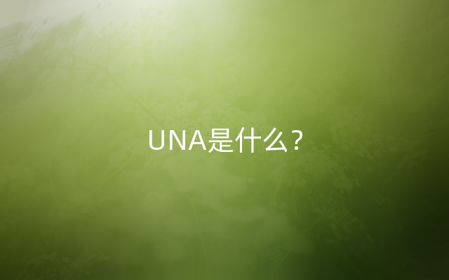 UNA是什么？
