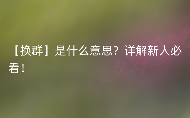 【换群】是什么意思？详解新人必看！