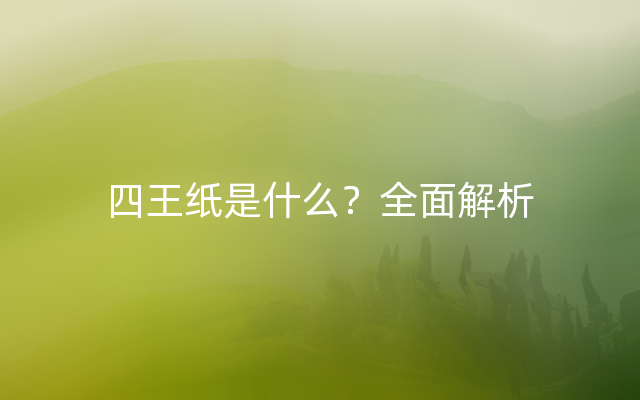 四王纸是什么？全面解析